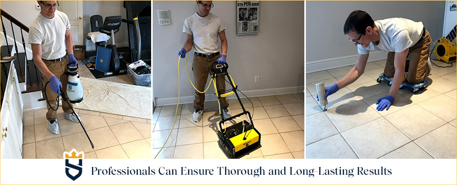 Professionals Can Ensure Thorough and Long-Lasting Results